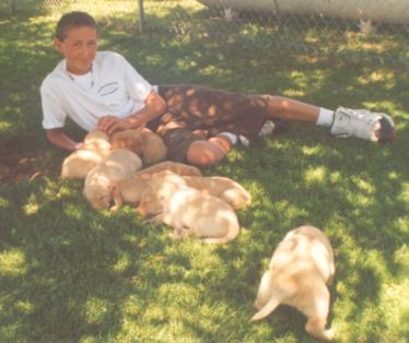 Kappy ex Zerbe 3 weeks with our grandson Mark