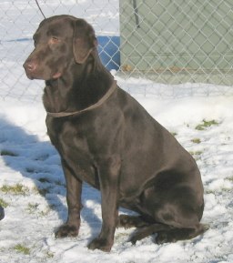 Gator Point's Rusty Zipper