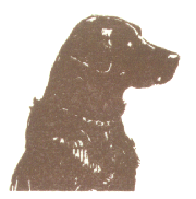 Fry Creek Kennels - sitemap